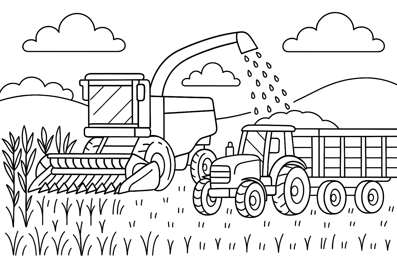 A combine harvester chops the field and a tractor hauls away the harvest