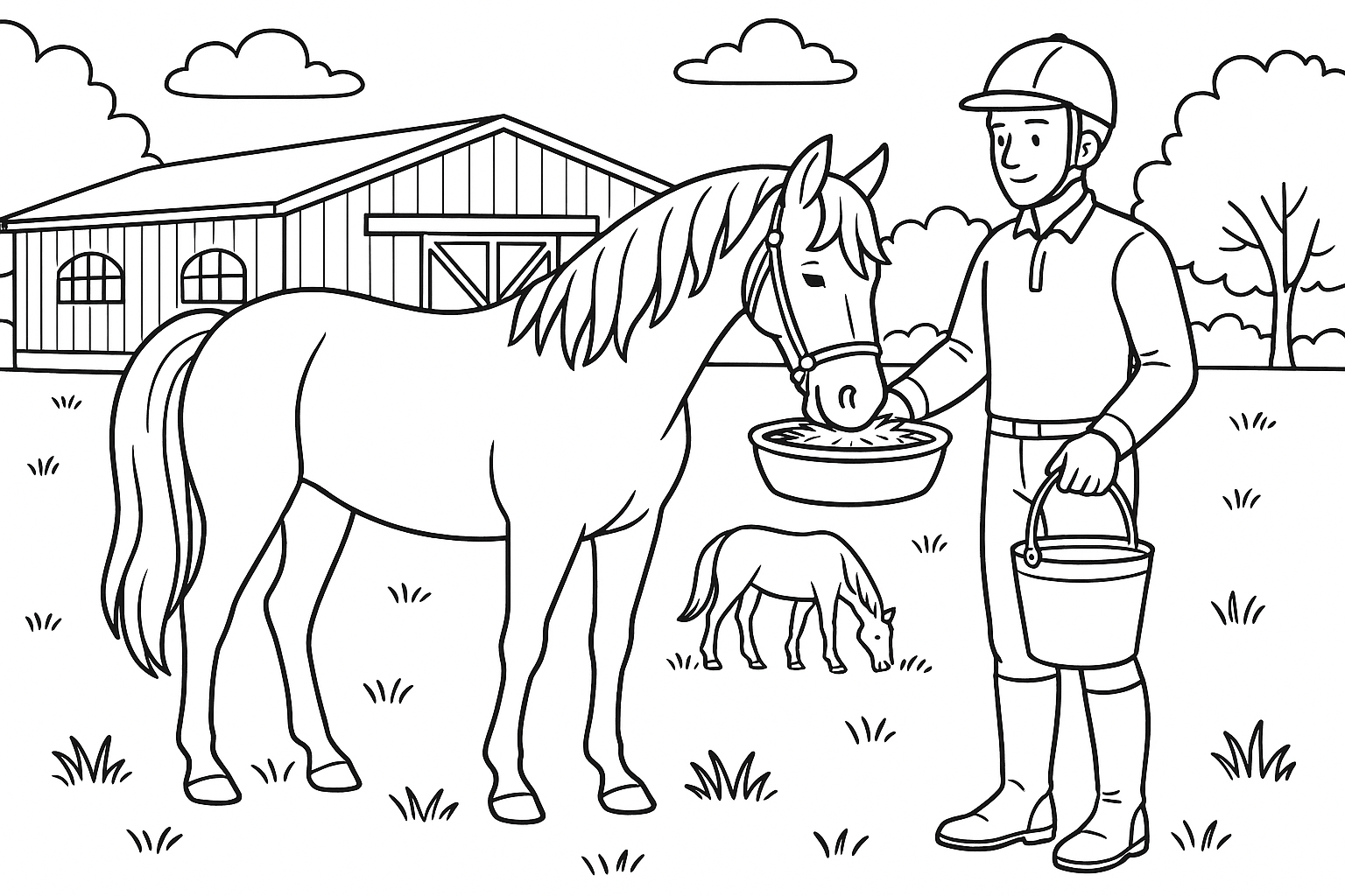 A horse farm with a hall in the background, meadow. A rider is just giving a horse something to eat and drink