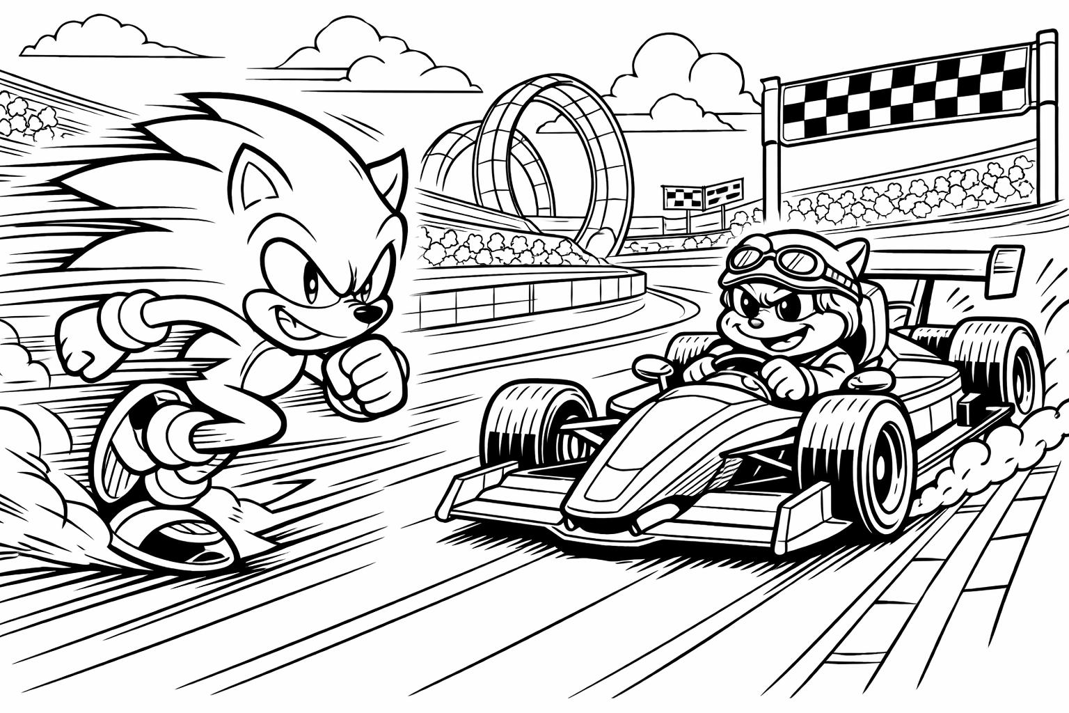 A Sonic on a racetrack competing against a race car with tobobust and Sonic runs at supersonic speed.