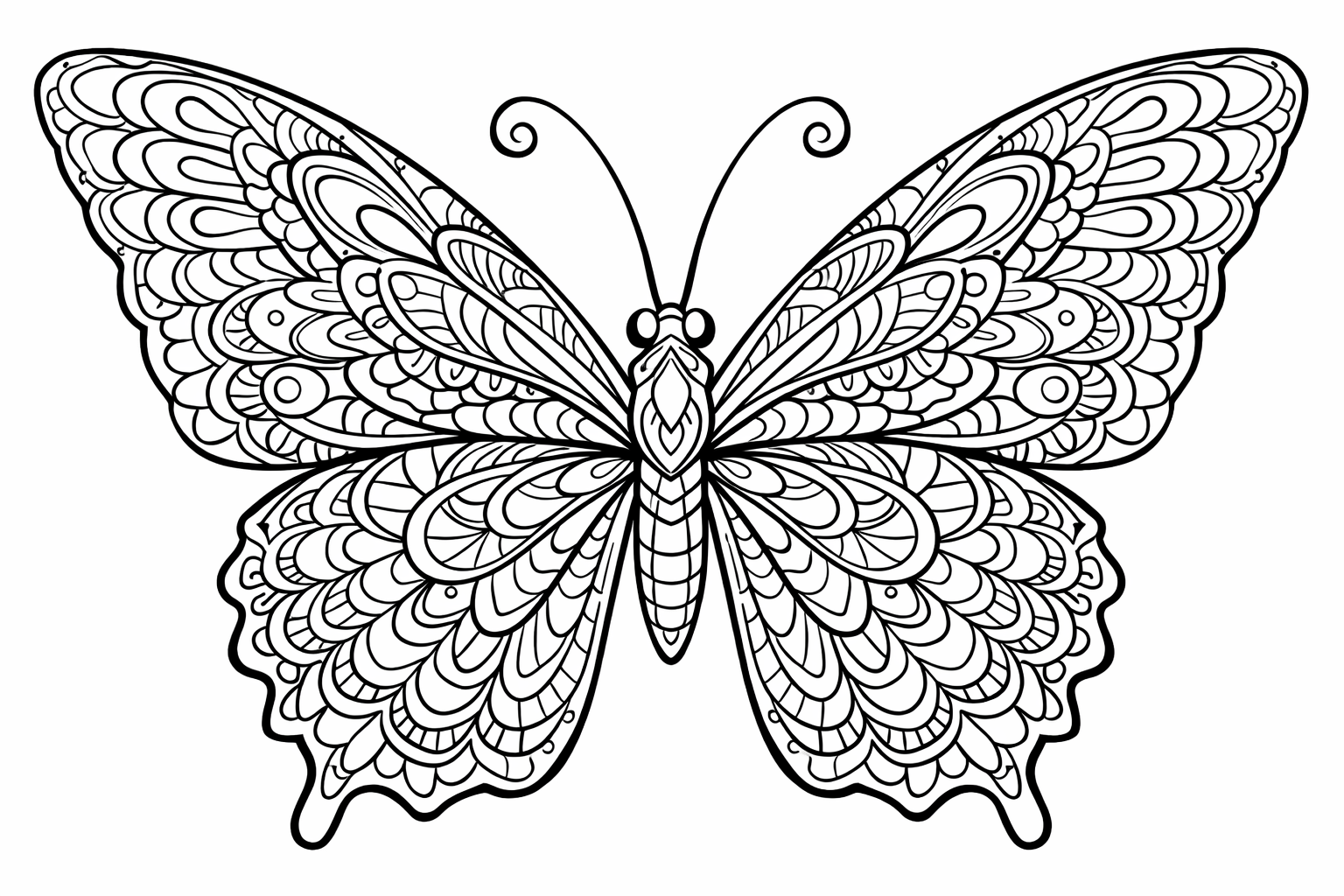 Detailed butterfly with intricate symmetric wing patterns, many small zones