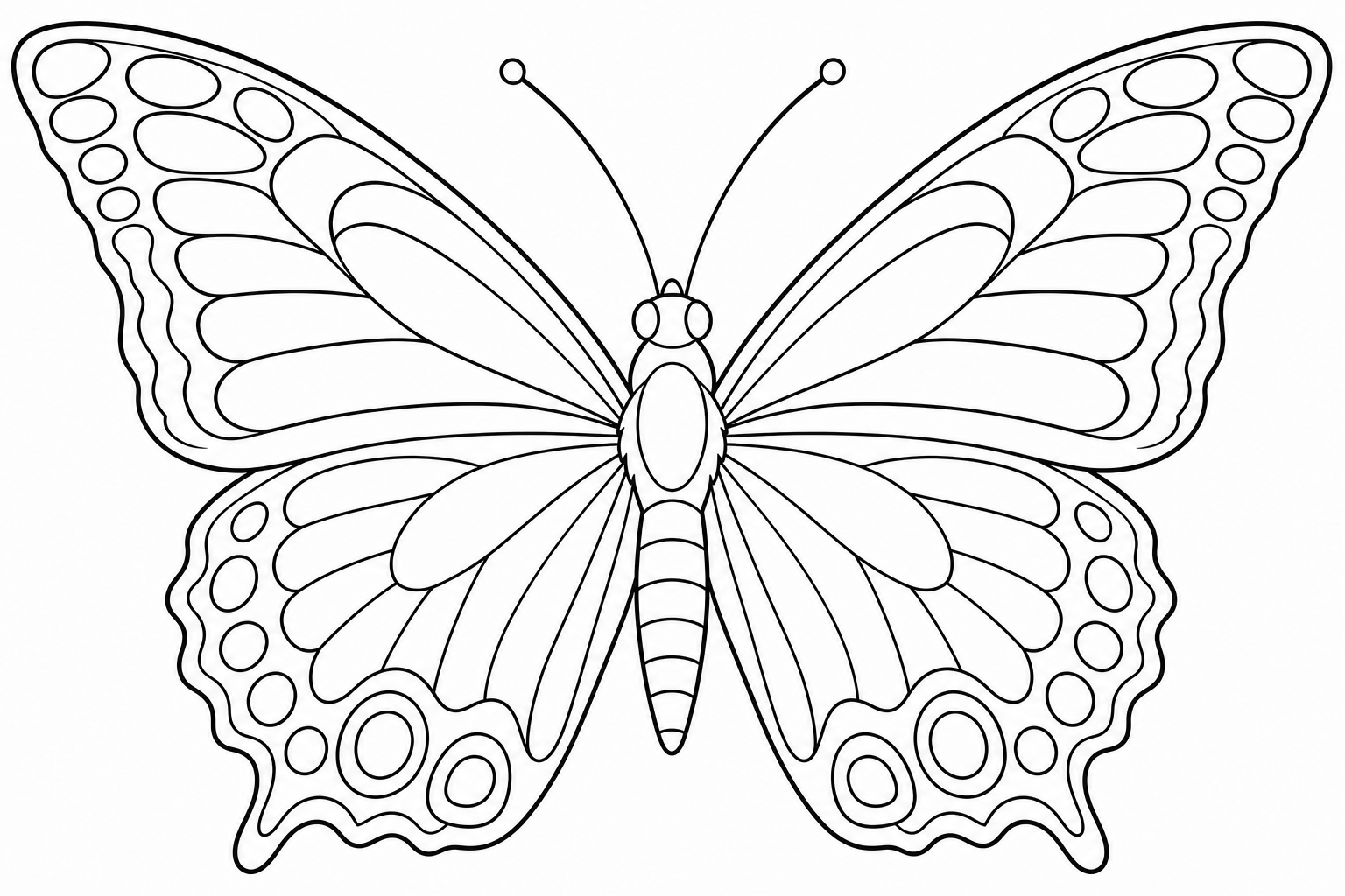A butterfly viewed straight from above with perfectly mirrored wings, matching bold shapes on the left and right halves