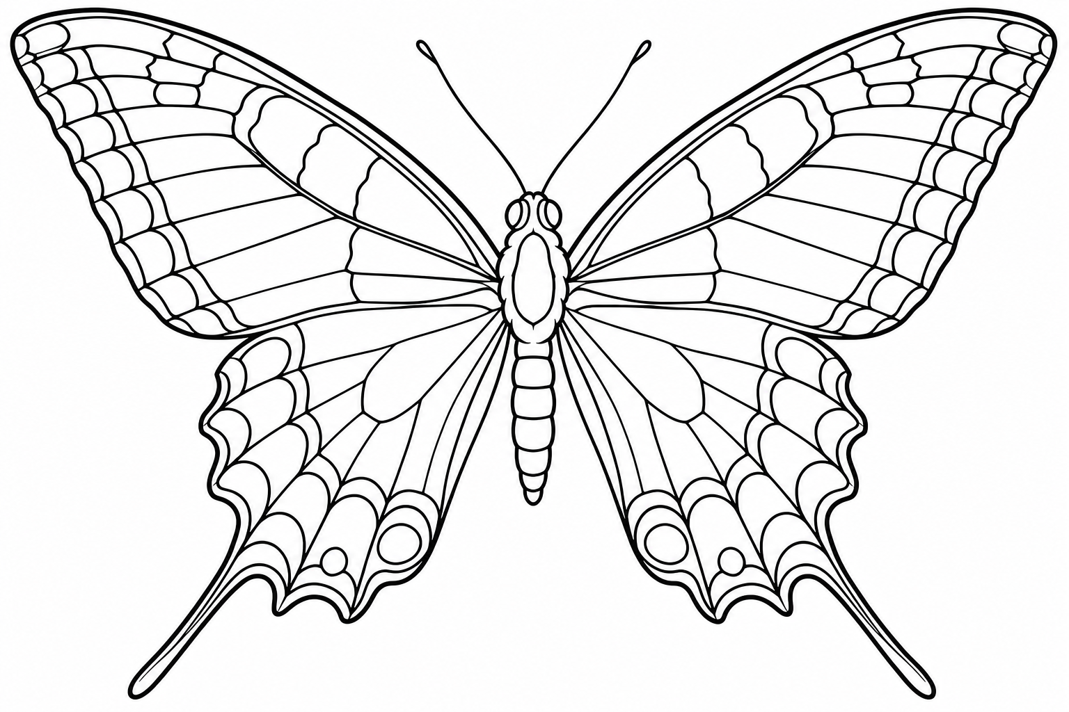 Swallowtail Butterfly Coloring Page with Long, Flat Wings