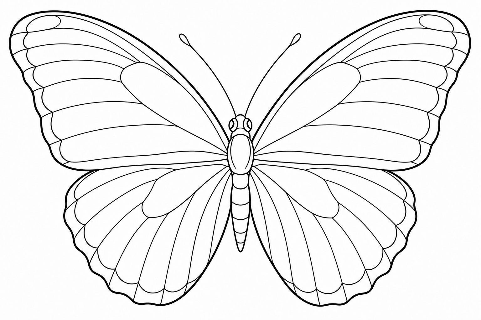 A big rounded-wing morpho butterfly viewed head on with open wings and minimal interior detail