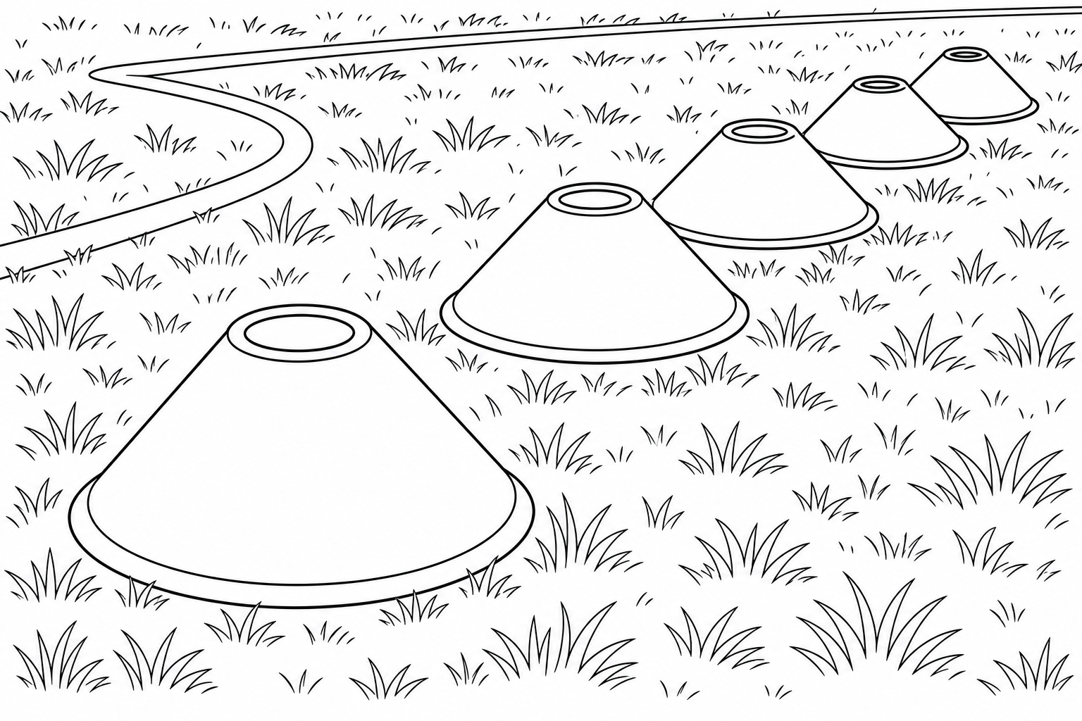 training cones lined up on the grass