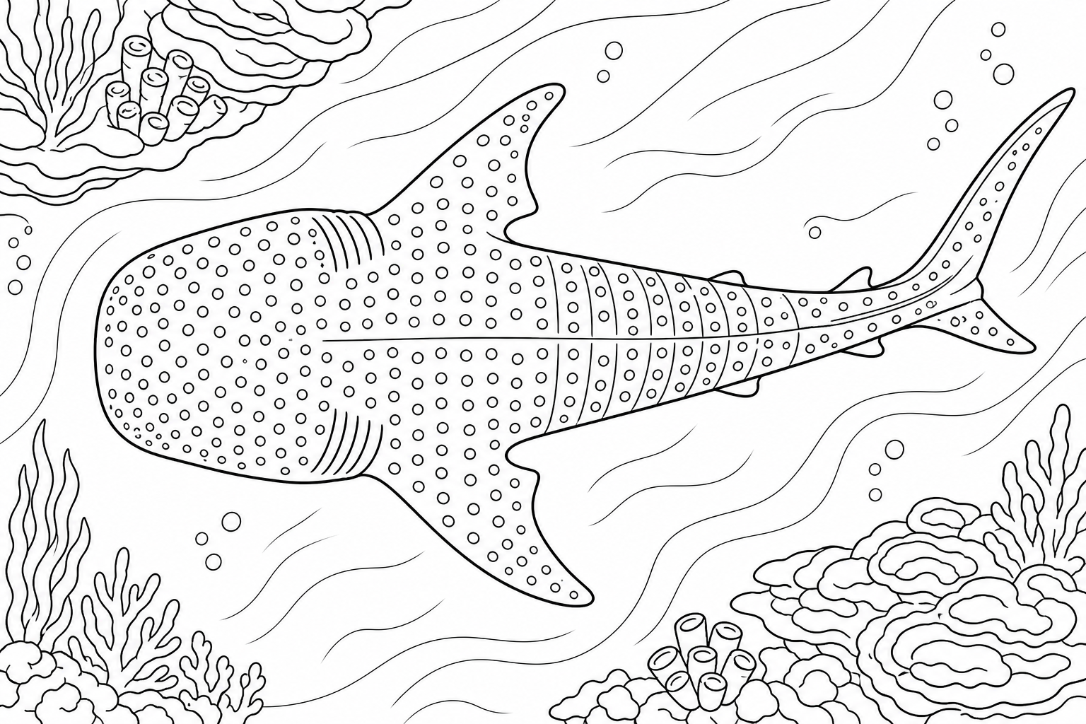 Whale Shark Coloring Page - Top View with Spotted Back