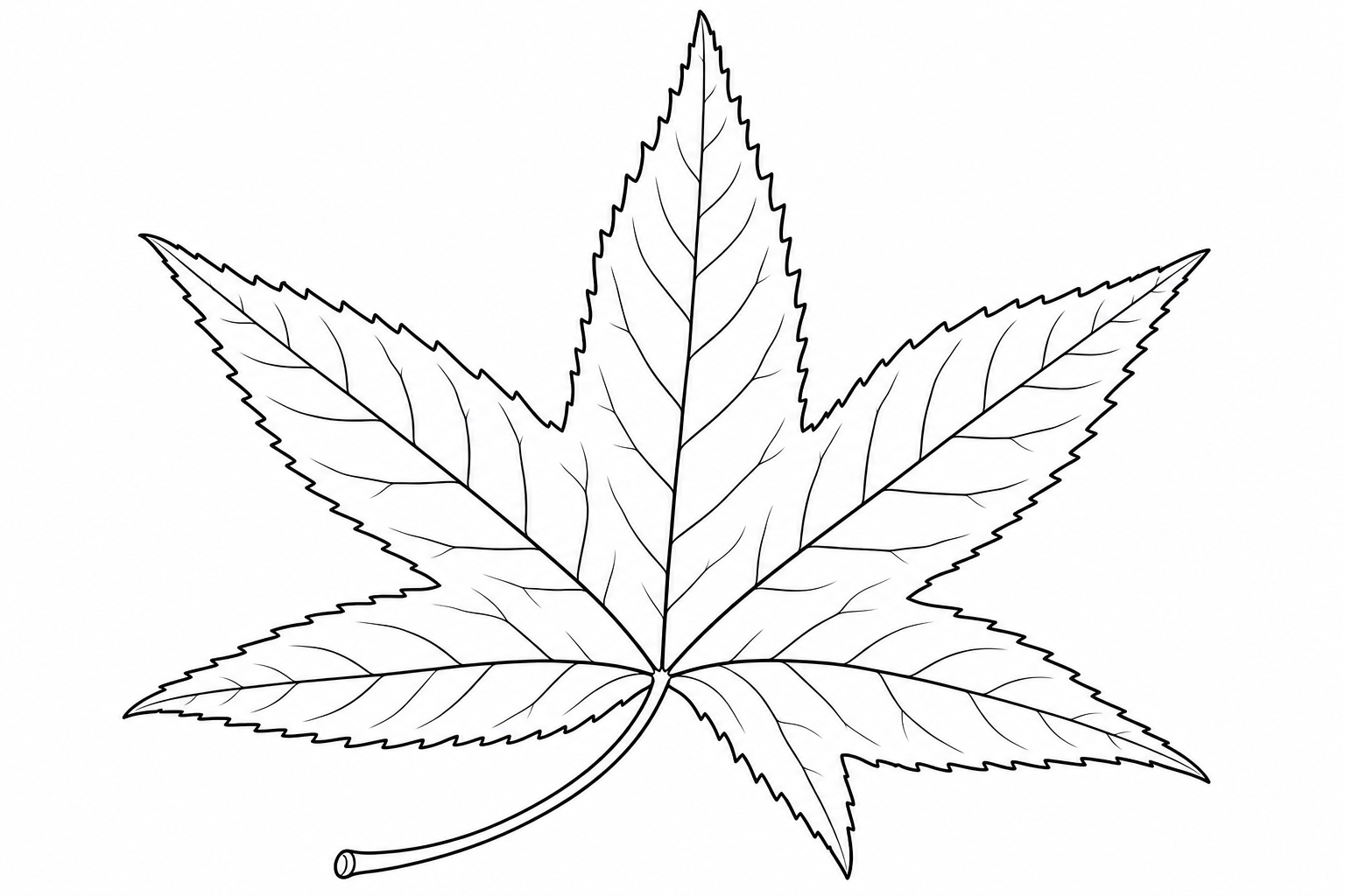 Sweetgum Leaf Coloring Page for Kids