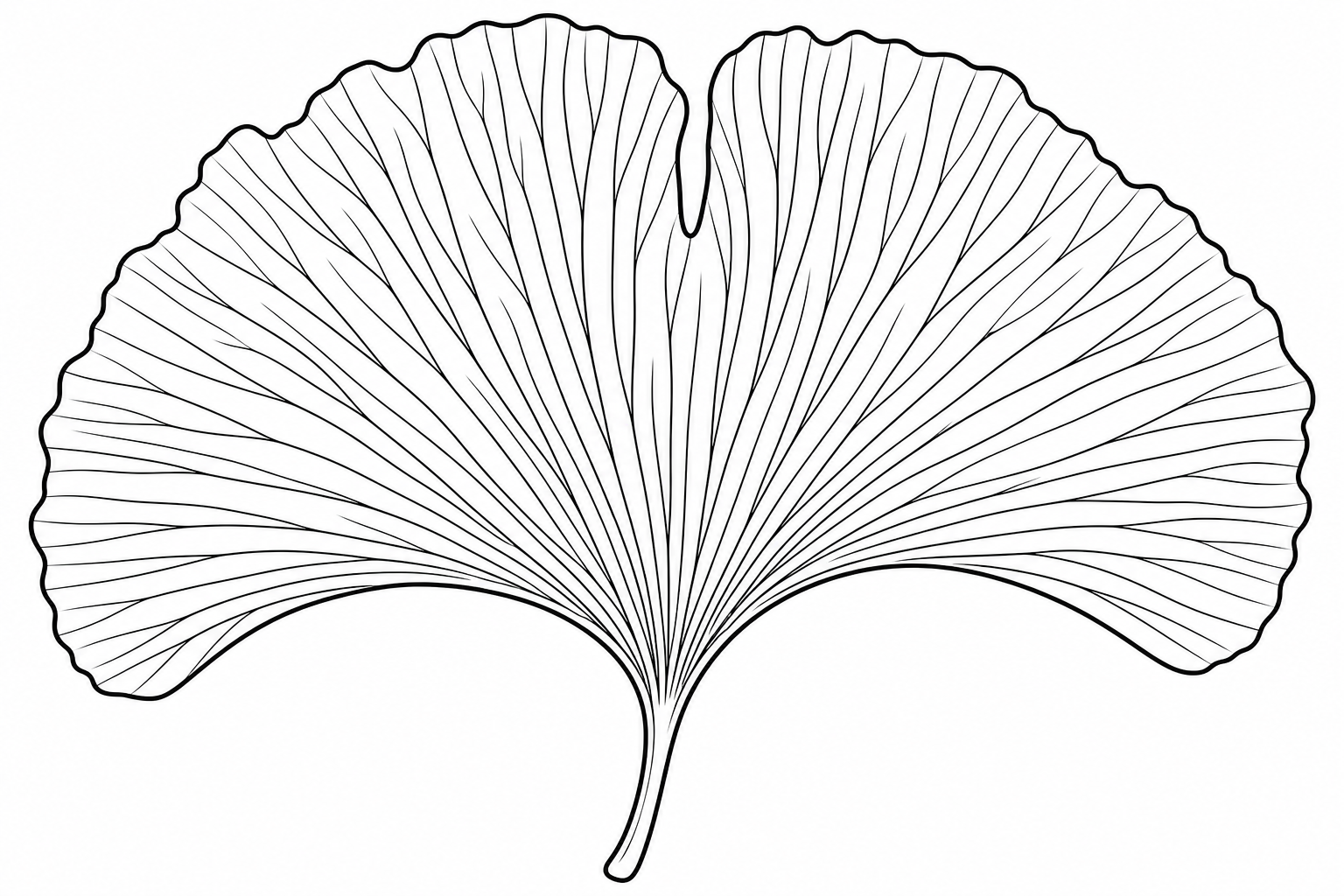 Ginkgo Leaf Coloring Page for Kids
