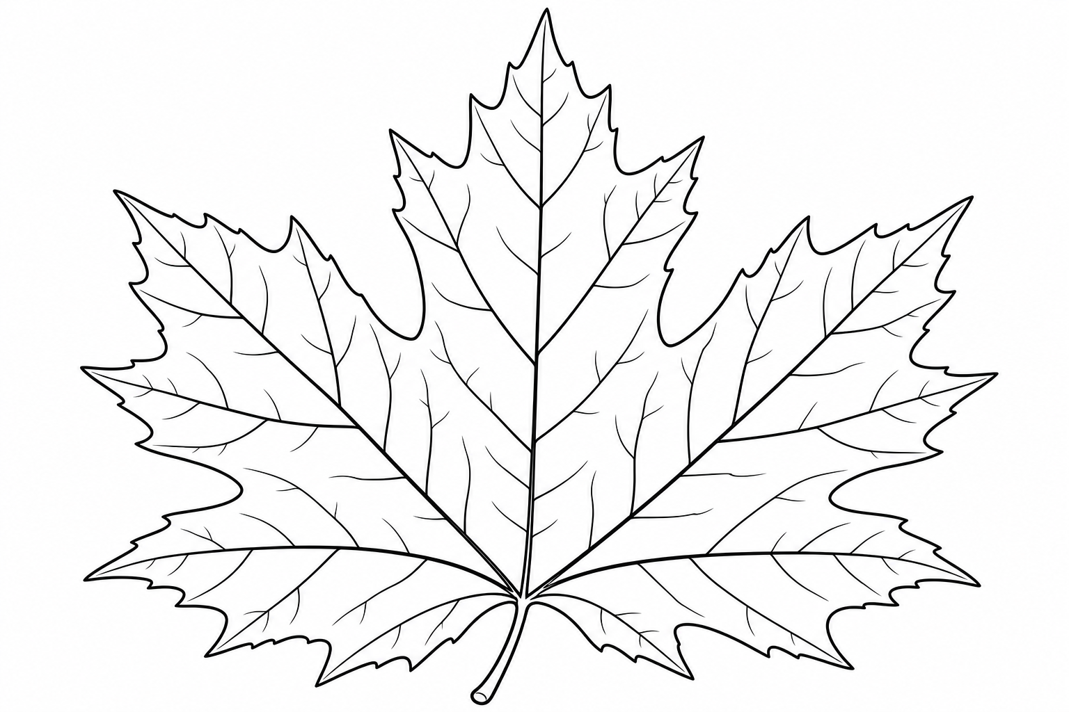 Maple Leaf Coloring Page for Kids