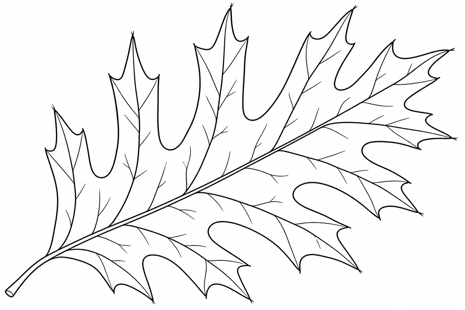 Oak Leaf Coloring Page for Kids
