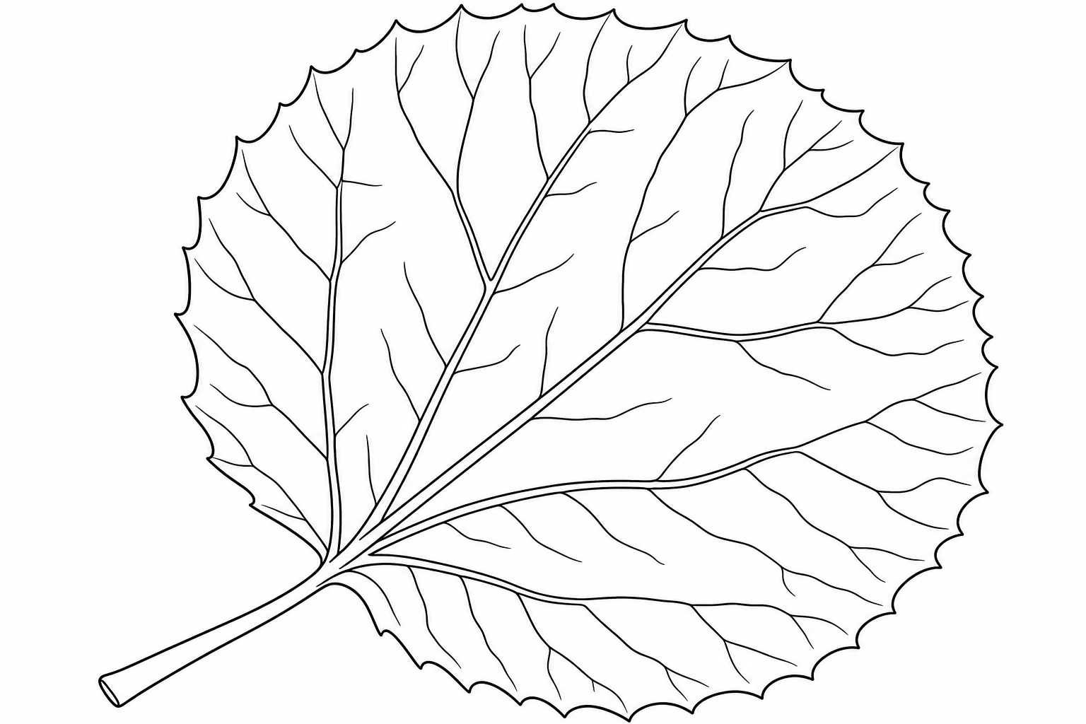 Aspen Leaf Coloring Page for Kids