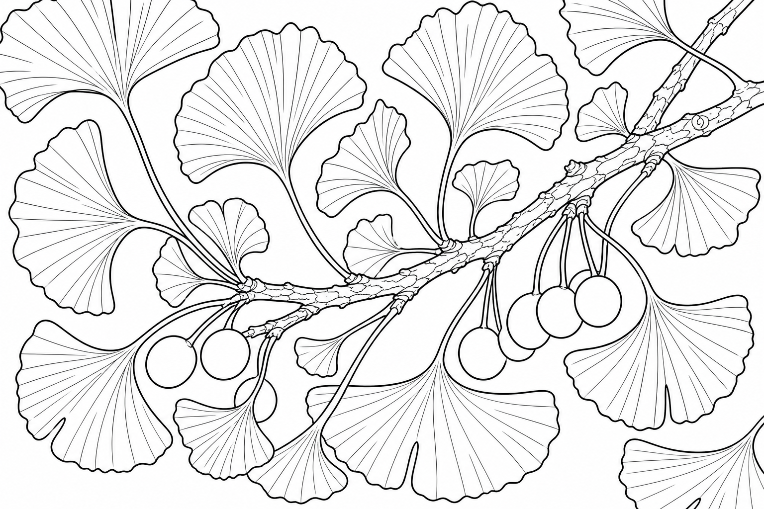 Ginkgo Leaf Coloring Page for Kids