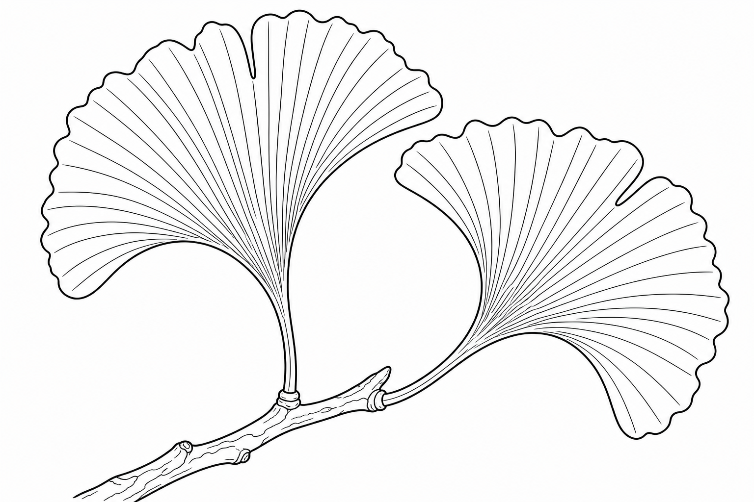 Ginkgo Leaf Coloring Page for Kids