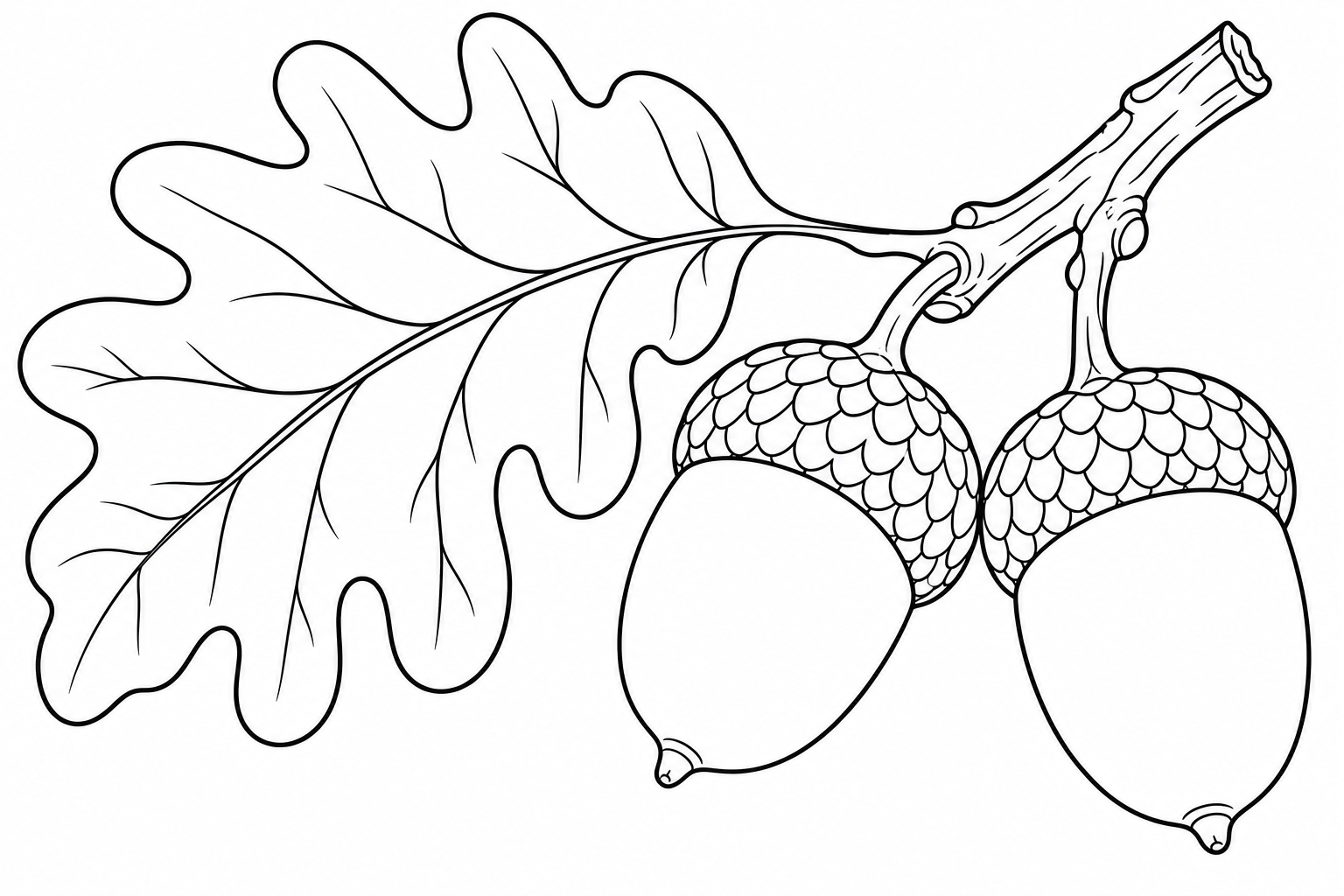 Oak Leaf and Acorns Coloring Page