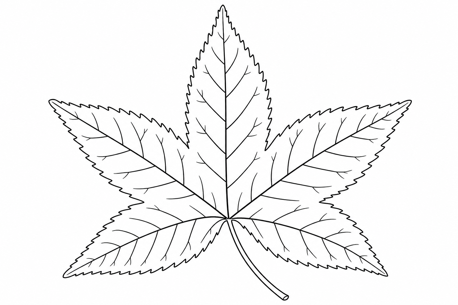 Sweetgum Leaf Coloring Page for Kids