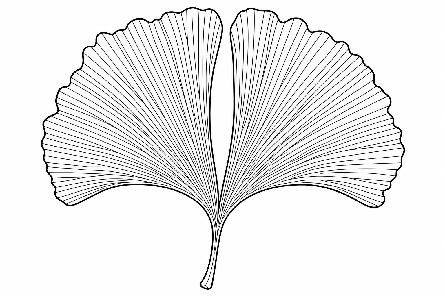 Ginkgo Leaf Coloring Page for Kids