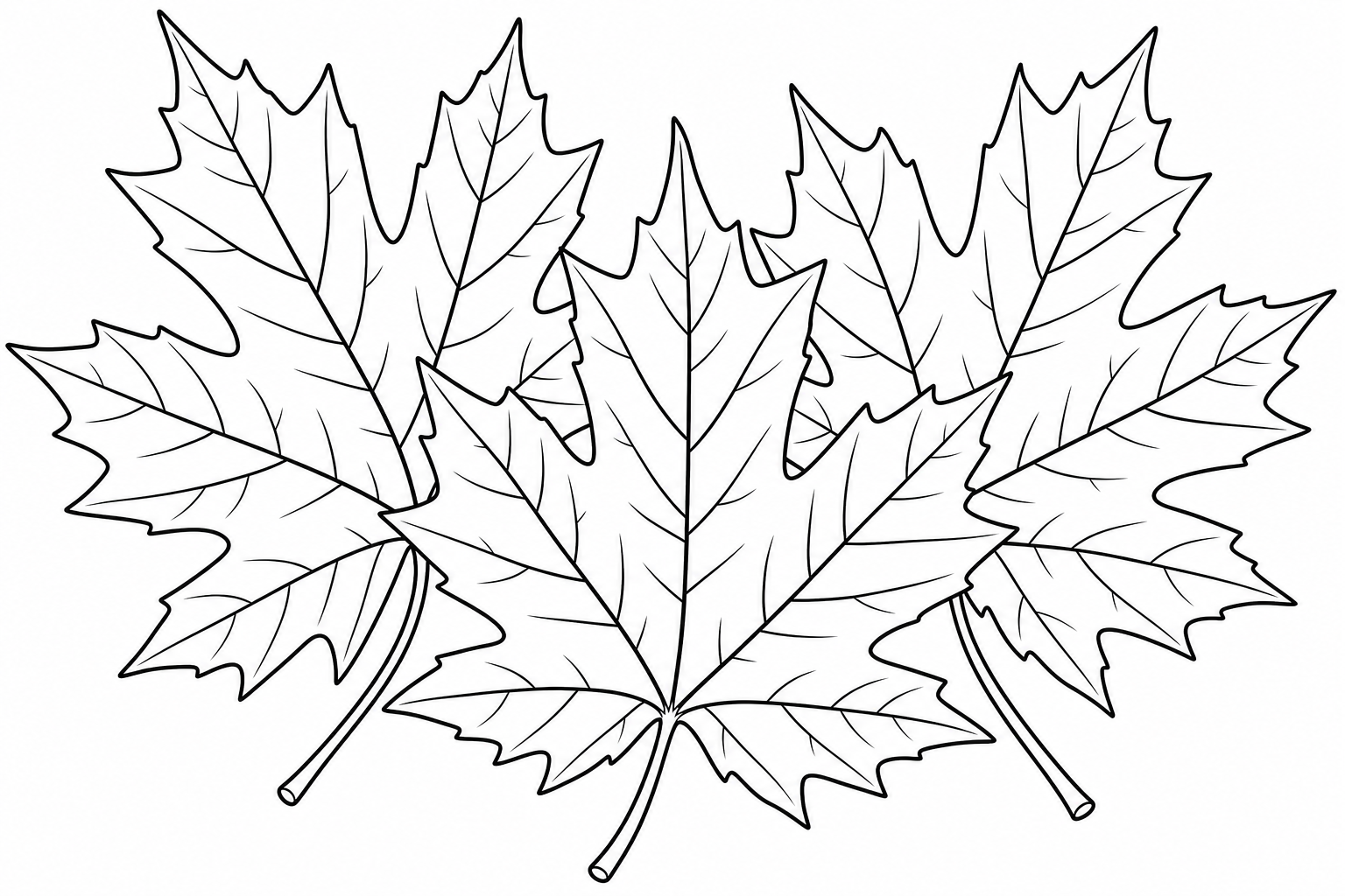 Maple Leaf Coloring Page for Kids