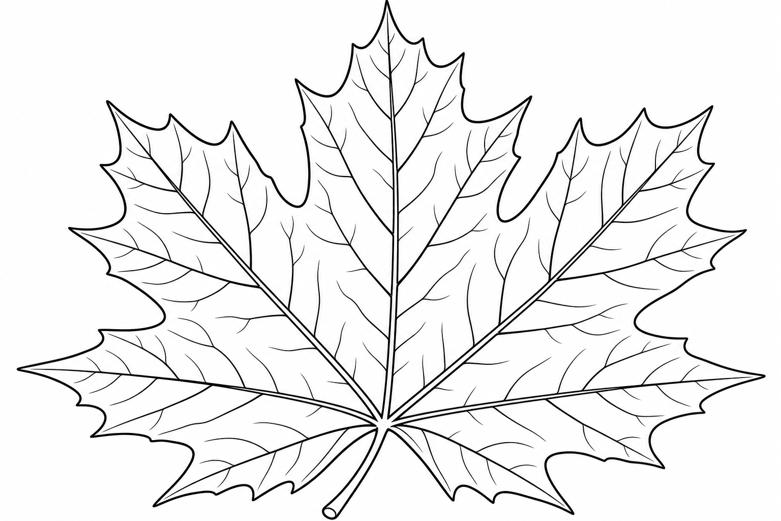Maple Leaf Coloring Page for Kids