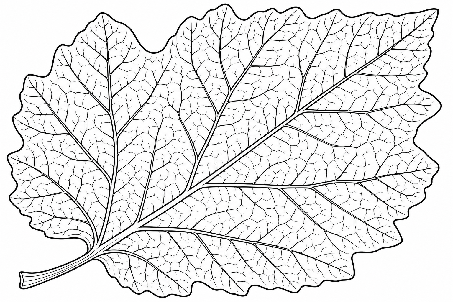 Detailed Leaf Coloring Page for Kids