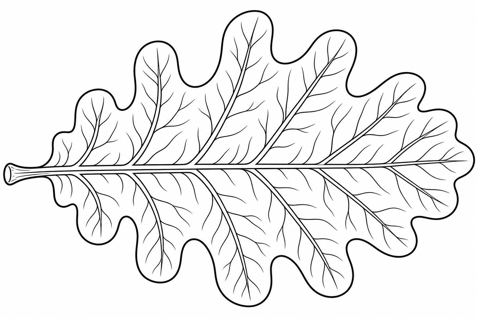 Oak Leaf Coloring Page for Kids