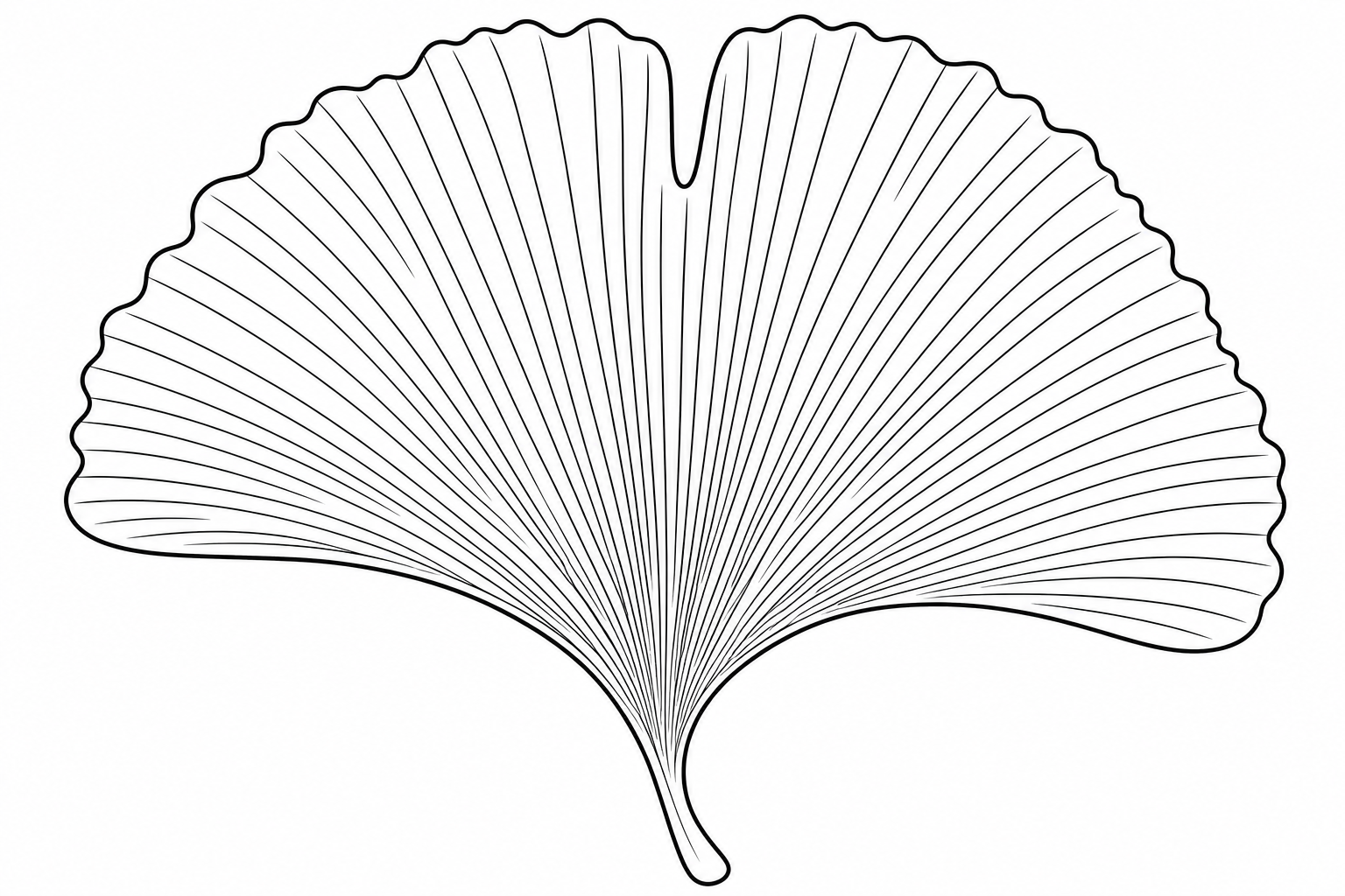 Ginkgo Leaf Coloring Page for Kids