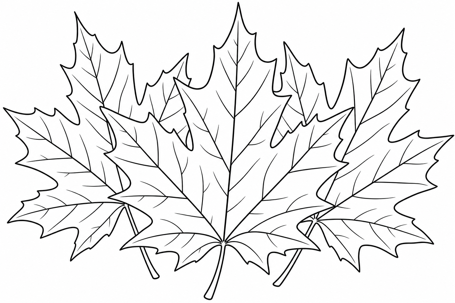 Maple Leaf Coloring Page for Kids