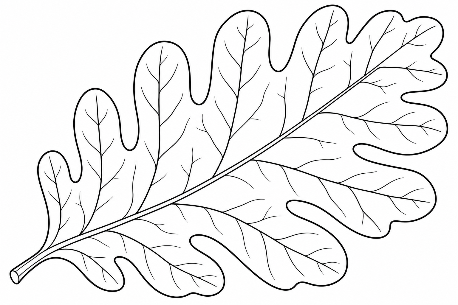 Oak Leaf Coloring Page for Kids