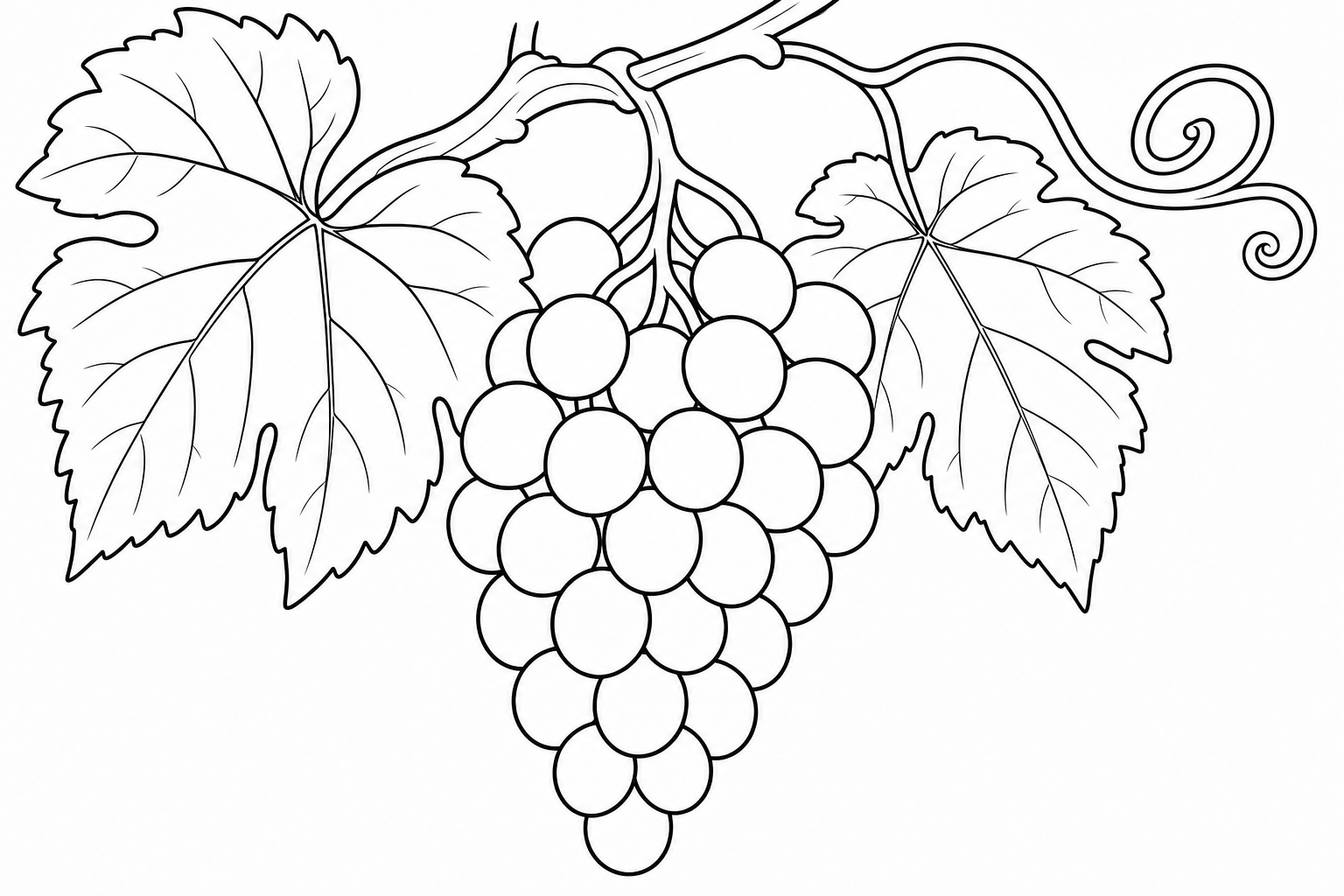 Grape Bunch Coloring Page for Kids