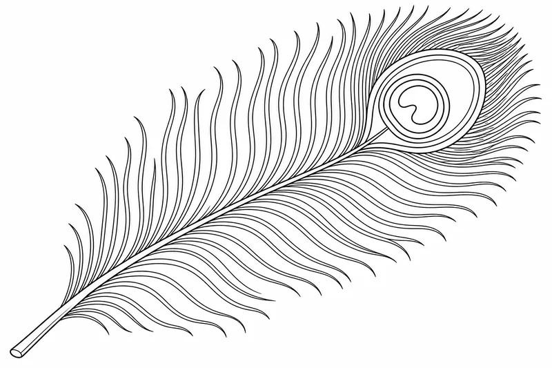 Une seule longue plume de paon couchée en diagonale, le marquage de l'œil rond à son extrémité dessiné avec des anneaux concentriques et de fines barbes.
