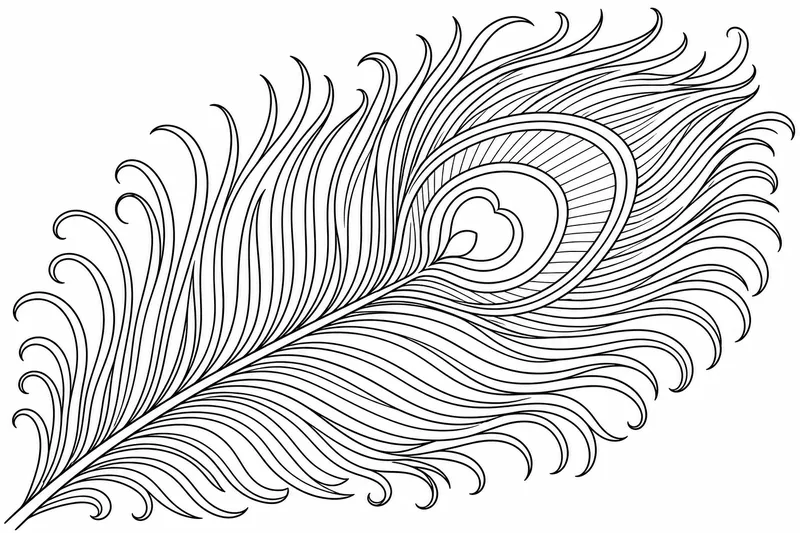 Une plume de paon courbant à travers le cadre, marquage de l'œil orné et bords plumeux richement détaillés.