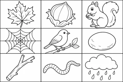 A bingo card of nine square boxes in a three by three grid for a walk in the park, each box holding one simple bold outline: a maple leaf, a hazelnut, a squirrel, a spider web, a small bird on a twig, a smooth round stone, a forked stick, an earthworm, and a rain cloud. Thick clean outlines, large open shapes, plenty of white space in each box, no letters, no numbers, no words.