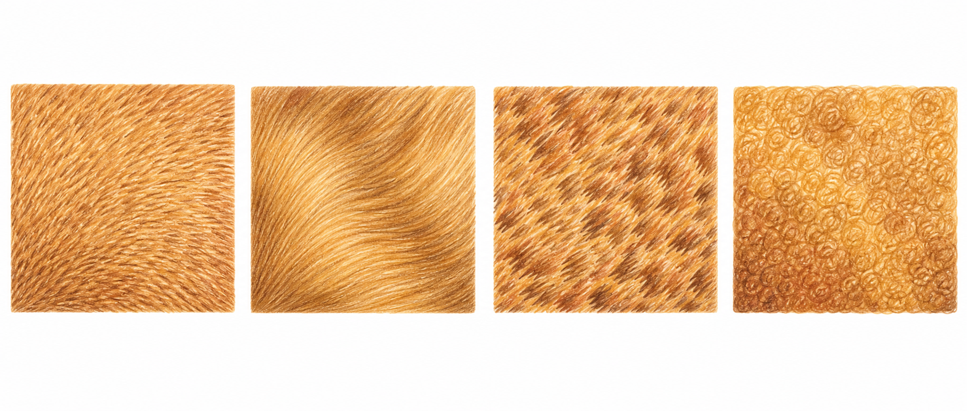 An educational illustration of four square swatches in a row, each showing a different colored pencil fur texture: short quick flicks, long sweeping strokes, short choppy dashes, and tiny overlapping 