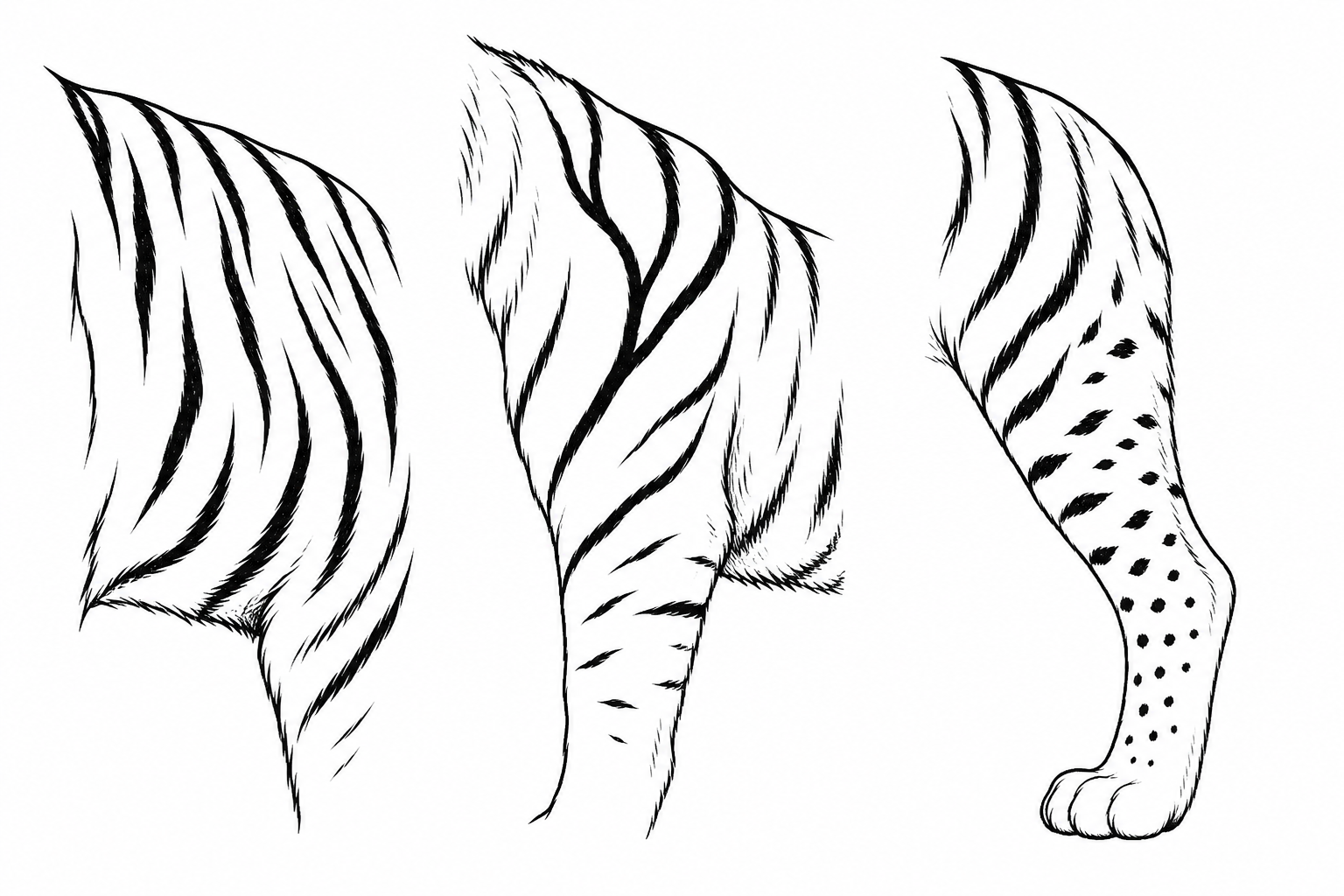 A clean black and white line art study of tiger stripe shapes on white paper, showing stripes that taper to fine points, stripes that fork into a Y over the shoulder, and stripes breaking into short d